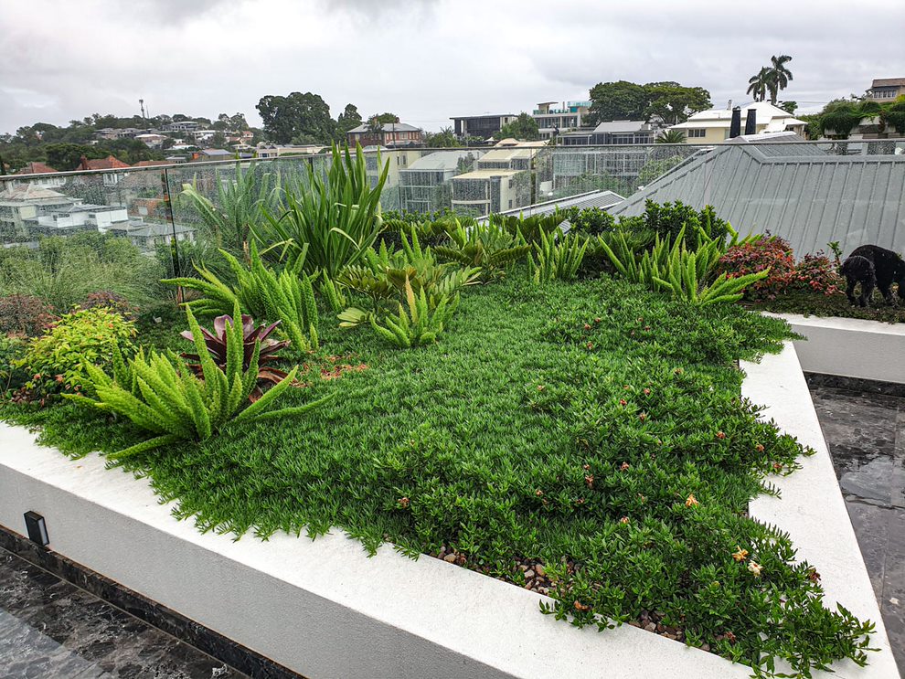 Roof Gardens 